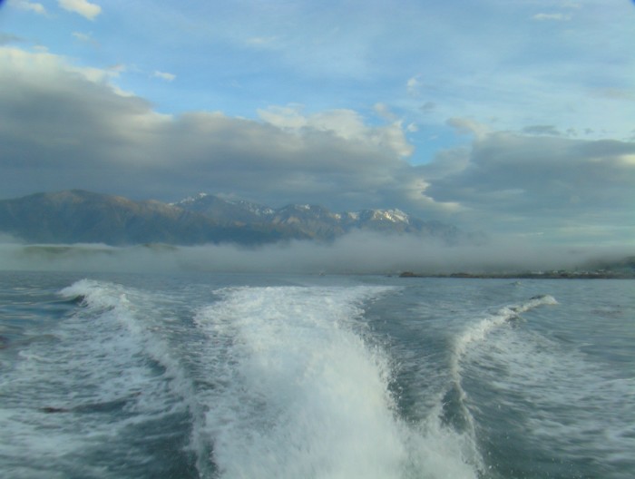 Kaikoura - South Island